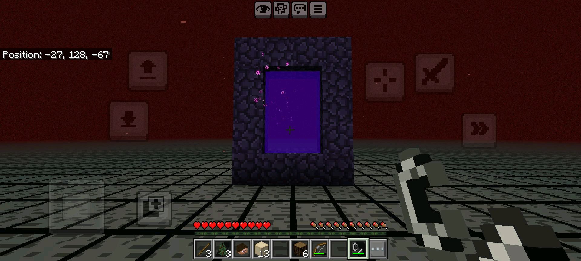 Public SMP Server screenshot showing a Nether portal area